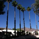 arizona from kells camera - IMG_3193